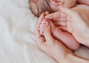 Naissance - Courtage CVN